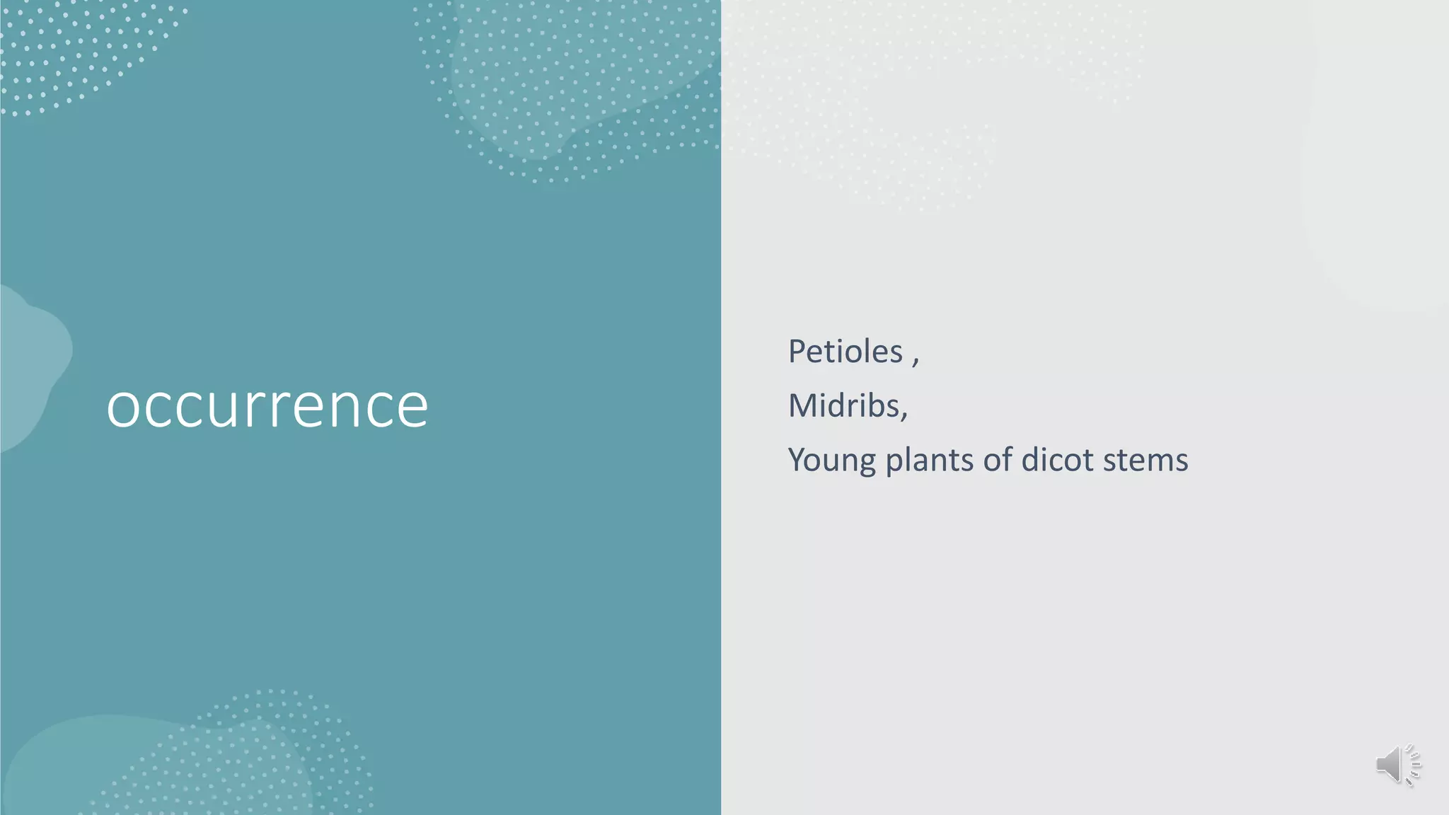 occurrence
Petioles ,
Midribs,
Young plants of dicot stems
 