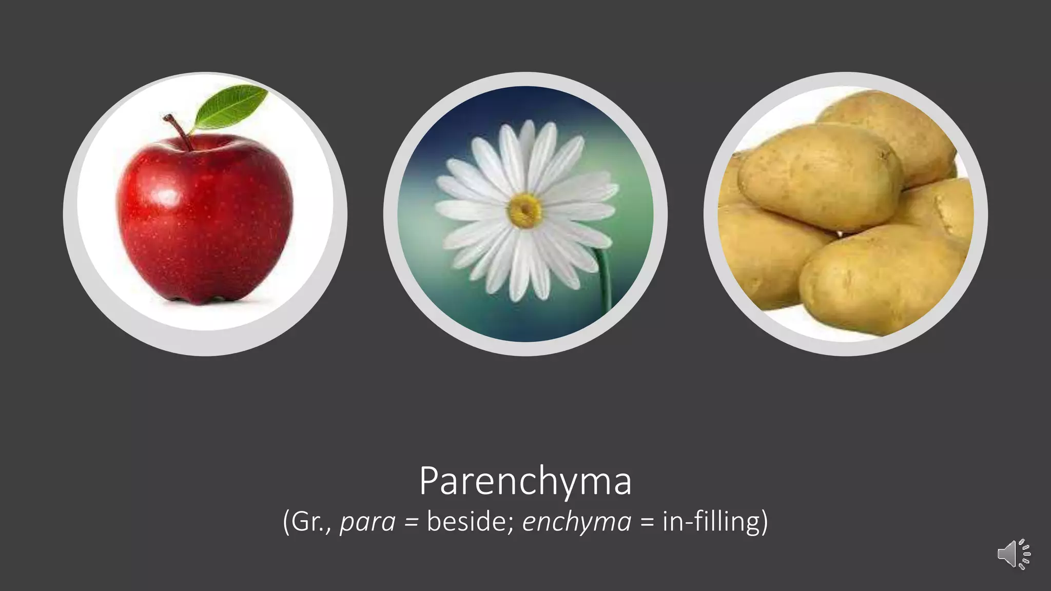 Parenchyma
(Gr., para = beside; enchyma = in-filling)
 