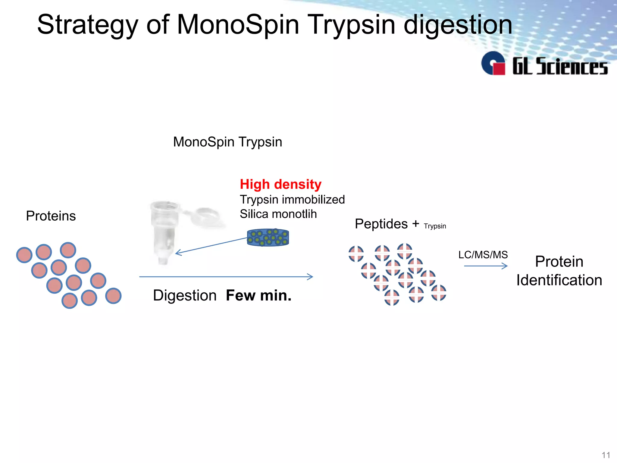 Strategy of MonoSpin Trypsin digestion
11
Proteins
MonoSpin Trypsin
Peptides + Trypsin
Protein
Identification
LC/MS/MS
High density
Trypsin immobilized
Silica monotlih
Digestion Few min.
 