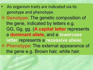 • An organism traits are indicated via its
genotype and phenotype.
 Genotype: The genetic composition of
the gene, indicated by letters e.g.
GG, Gg, gg. (A capital letter represents
a dominant allele, and a lowercase
letter represents a recessive allele)
 Phenotype: The external appearance of
the gene e.g. Brown hair, white hair.
 