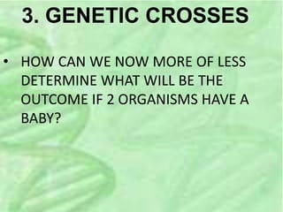 3. GENETIC CROSSES
• HOW CAN WE NOW MORE OF LESS
DETERMINE WHAT WILL BE THE
OUTCOME IF 2 ORGANISMS HAVE A
BABY?
 