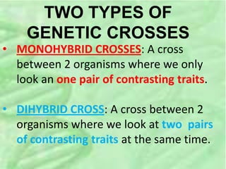 TWO TYPES OF
GENETIC CROSSES
• MONOHYBRID CROSSES: A cross
between 2 organisms where we only
look an one pair of contrasting traits.
• DIHYBRID CROSS: A cross between 2
organisms where we look at two pairs
of contrasting traits at the same time.
 
