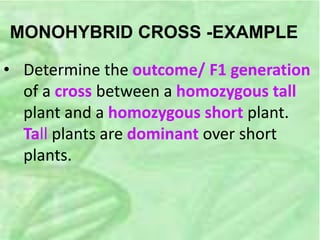 MONOHYBRID CROSS -EXAMPLE
• Determine the outcome/ F1 generation
of a cross between a homozygous tall
plant and a homozygous short plant.
Tall plants are dominant over short
plants.
 
