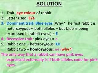 SOLUTION
1. Trait: eye colour of rabbit.
2. Letter used: E/e
3. Dominant trait: Blue eyes (Why? The first rabbit is
heterozygous – both alleles – but blue is being
expressed in rabbit eyes.) = E
4. Recessive trait: pink eyes = e
5. Rabbit one – heterozygous: Ee
Rabbit two – homozygous: ee (why?)
The only way that a rabbit can have pink eyes
expressed externally is if both alleles code for pink
eyes.
 
