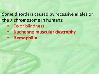 Some disorders caused by recessive alleles on
the X chromosome in humans:
• Color blindness
• Duchenne muscular dystrophy
• Hemophilia
 