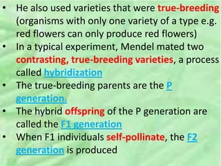 • He also used varieties that were true-breeding
(organisms with only one variety of a type e.g.
red flowers can only produce red flowers)
• In a typical experiment, Mendel mated two
contrasting, true-breeding varieties, a process
called hybridization
• The true-breeding parents are the P
generation.
• The hybrid offspring of the P generation are
called the F1 generation
• When F1 individuals self-pollinate, the F2
generation is produced
 