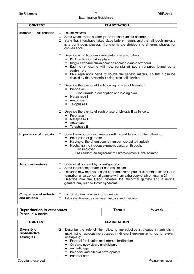 Healthy Mind In A Healthy Body Essay Meiosis Essay Meiosis Essay College Essays College Application Essays The About Essay Click To Enlarge Custom Written Creative Writing Assignments also English Essay Meiosis Essay Meiosis Essay Cell Division And Mitosis Chapter Apa Sample Essay Paper