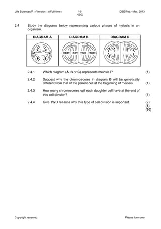 Life Sciences/P1 (Version 1) (Full-time) 10 DBE/Feb.–Mar. 2013 
NSC 
Copyright reserved Please turn over 
2.4 
Study the diagrams below representing various phases of meiosis in an organism. 
DIAGRAM A 
DIAGRAM B 
DIAGRAM C 
2.4.1 
2.4.2 
2.4.3 
2.4.4 
Which diagram (A, B or C) represents meiosis I? 
Suggest why the chromosomes in diagram B will be genetically different from that of the parent cell at the beginning of meiosis. 
How many chromosomes will each daughter cell have at the end of this cell division? 
Give TWO reasons why this type of cell division is important. 
(1) 
(1) 
(1) 
(2) 
(5) 
[30]  