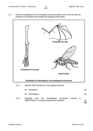 Life Sciences/P1 (Version 1) (Full-time) 13 DBE/Feb.–Mar. 2013 
NSC 
Copyright reserved Please turn over 
3.3 
Study the analogous and homologous structures below, which can be used as evidence for evolution and answer the questions that follow. 
3.3.1 
Identify TWO structures in the diagram that are: 
(a) 
(b) 
Analogous 
Homologous 
(2) 
(2) 
3.3.2 
Describe how the homologous structures named in QUESTION 3.3.1(b) give evidence for evolution. 
(2) 
(6) 
Forelimb of a human 
Insect wing 
Forelimb of a bat 
Examples of homologous and analogous structures  