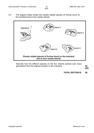 Life Sciences/P1 (Version 1) (Full-time) 14 DBE/Feb.–Mar. 2013 
NSC 
Copyright reserved Please turn over 
3.4 
The diagram below shows five closely related species of finches found on the mainland and on four nearby islands. 
Describe how the different species on the four islands evolved over many generations from the original ancestor on the mainland. 
(8) 
[30] 
TOTAL SECTION B: 
60 
Closely related species of finches found on the mainland and on four nearby islands 
Island 3 
Island 1 
Island 2 
Island 4 
Mainland  