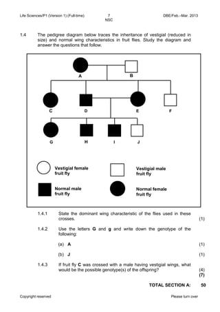 Life Sciences/P1 (Version 1) (Full-time) 7 DBE/Feb.–Mar. 2013 
NSC 
Copyright reserved Please turn over 
1.4 
The pedigree diagram below traces the inheritance of vestigial (reduced in size) and normal wing characteristics in fruit flies. Study the diagram and answer the questions that follow. 
1.4.1 
1.4.2 
State the dominant wing characteristic of the flies used in these crosses. 
Use the letters G and g and write down the genotype of the following: 
(1) 
(a) 
(b) 
A 
J 
(1) 
(1) 
1.4.3 
If fruit fly C was crossed with a male having vestigial wings, what would be the possible genotype(s) of the offspring? 
(4) 
(7) 
TOTAL SECTION A: 
50 
G 
H 
I 
J 
B 
E 
D 
F 
A 
C 
Vestigial female fruit fly 
Normal male 
fruit fly 
Vestigial male 
fruit fly 
Normal female 
fruit fly  