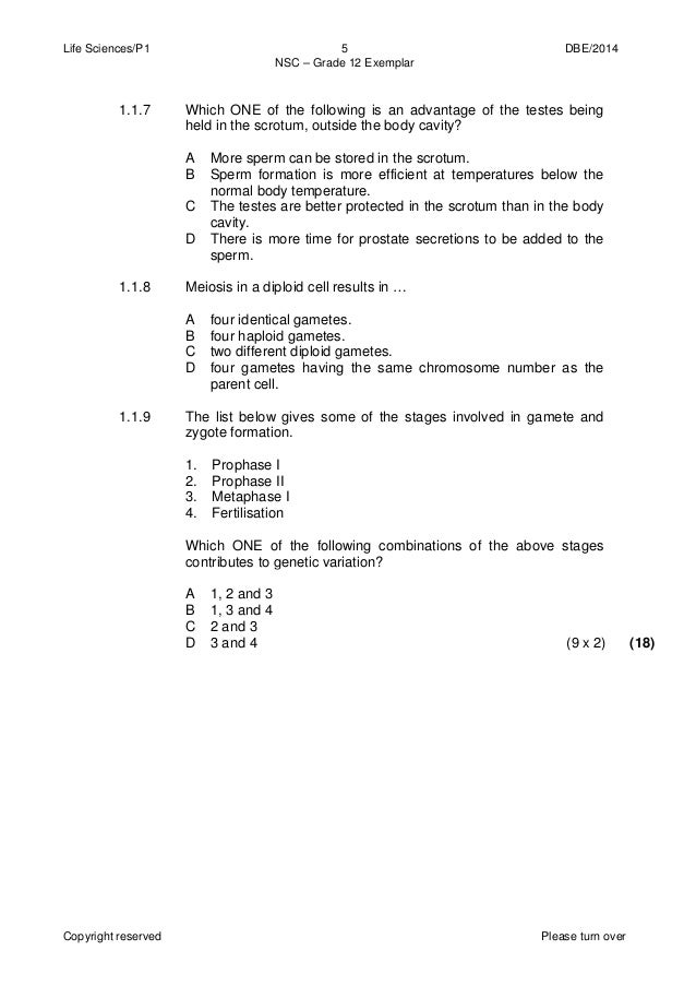 physical sciences p2 grade 11 exemplar Physical science p2 grade 10 2014 exemplar dbe/2013 nsc/nss grade 11 exemplar/graad 11 model more references related to physical science p2 grade 10 2014 exemplar. physical sciences p2 grade 11 exemplar Physical science p2 grade 10 2014 exemplar dbe/2013 nsc/nss grade 11 exemplar/graad 11 model more references related to physical science p2 grade 10 2014 exemplar.
