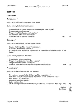 Life Sciences/P1 10 DBE/2014 
NSC – Grade 12 Exemplar – Memorandum 
Copyright reserved Please turn over 
SECTION C 
QUESTION 4 
Testosterone 
Produced by seminiferous tubules in the testes 
During puberty testosterone stimulates: 
- The deepening of the voice as vocal cords elongate in the larynx 
- The development of muscles 
- The growth of facial, pubic and body hair 
- Development of the penis and testes 
- The production of sperm in the testes max 
Oestrogen 
Produced by the Graafian follicles in the ovaries 
- Causes the lining of the uterus/endometrium 
- to become thicker/more vascular  
- in preparation for a possible implantation of the embryo and development of the foetus 
During puberty oestrogen stimulates: 
- The widening of the pelvis/hips 
- The growth and development of the breasts 
- The growth of the female sex organs 
- The start of the menstrual cycle, ovulation and menstruation max 
Progesterone 
Produced by the corpus luteum and placenta 
- Progesterone causes further thickening of the endometrium 
- so that it is ready for implantation of the embryo should fertilisation occur 
- High levels of progesterone 
- inhibits the secretion of FSH 
- by the pituitary gland 
- which in turn prevents the further development of any new ovum in the ovary max 
Content Synthesis 
(5) 
(7) 
(5) 
(17) 
(3) 
(20)  