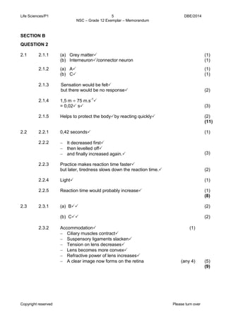 Life Sciences/P1 5 DBE/2014 
NSC – Grade 12 Exemplar – Memorandum 
Copyright reserved Please turn over 
SECTION B 
QUESTION 2 
2.1 
2.1.1 
(a) Grey matter 
(b) Interneuron/connector neuron 
(1) 
(1) 
2.1.2 
(a) A 
(b) C 
(1) 
(1) 
2.1.3 
2.1.4 
2.1.5 
Sensation would be felt 
but there would be no response 
1,5 m ÷ 75 m.s-1 
= 0,02 s 
Helps to protect the bodyby reacting quickly 
(2) 
(3) 
(2) 
(11) 
2.2 
2.2.1 
0,42 seconds 
(1) 
2.2.2 
2.2.3 
2.2.4 
2.2.5 
− It decreased first 
− then levelled off 
− and finally increased again. 
Practice makes reaction time faster 
but later, tiredness slows down the reaction time. 
Light 
Reaction time would probably increase 
(3) 
(2) 
(1) 
(1) 
(8) 
2.3 
2.3.1 
(a) B 
(b) C 
(2) 
(2) 
2.3.2 
Accommodation (1) 
− Ciliary muscles contract 
− Suspensory ligaments slacken 
− Tension on lens decreases 
− Lens becomes more convex 
− Refractive power of lens increases 
− A clear image now forms on the retina (any 4) 
(5) 
(9)  