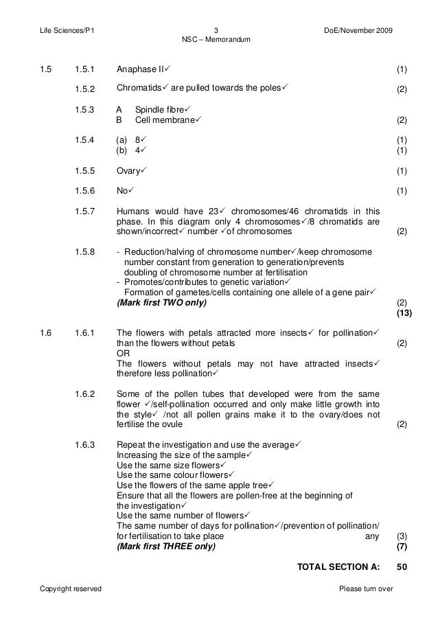 Mathematics grade 11 exam papers and memos