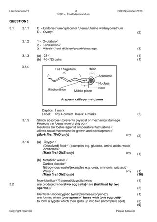 Life Sciences/P1 DBE/November 2010 
8 
NSC – Final Memorandum 
QUESTION 3 
3.1 3.1.1 C - Endometrium3/placenta /uterus/uterine wall/myometrium 
D - Ovary3 (2) 
3.1.2 
3.1.3 
1 - Ovulation3 
2 - Fertilisation3 
3 - Mitosis3/ cell division/growth/cleavage 
(a) 233 
(b) 463/23 pairs 
Tail / flagellum 
Mitochondrion Neck 
Copyright reserved Please turn over 
(3) 
(1) 
(1) 
3.1.4 
A sperm cell/spermatozoon 
Caption: 1 mark 
Label: any 4 correct labels: 4 marks (5) 
3.2 
3.1.5 
3.1.6 
Shock absorber3/prevents physical or mechanical damage 
Protects the foetus from drying out3 
Insulates the foetus against temperature fluctuations3 
Allows foetal movement for growth and development3 
(Mark first TWO only) any 
(a) Oxygen3 
(Dissolved) food3 (examples e.g. glucose, amino acids, water) 
Antibodies3 
(Mark first ONE only) any 
(b) Metabolic waste3 
Carbon dioxide3 
Nitrogenous waste/(examples e.g. urea, ammonia, uric acid) 
Water 3 any 
(Mark first ONE only) 
Non-identical3/fraternal/dizygotic twins 
are produced when(two egg cells)3are (fertilised by two 
sperms)3 
Identical3/monozygotic twins/(Siamese/conjoined) 
are formed when (one sperm)3 fuses with (one egg cell)3 
to form a zygote which then splits up into two (incomplete split) 
(2) 
(1) 
(1) 
(16) 
(1) 
(2) 
(1) 
(2) 
(6) 
Acrosome 
Nucleus 
Head 
Middle piece 
 