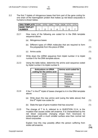 Life Sciences/P1 (Version 1) (Full-time) 10 DBE/November 2012 
NSC 
Copyright reserved Please turn over 
2.2 
The first 7 triplets of nitrogenous bases that form part of the gene coding for one chain of the haemoglobin protein that makes up red blood corpuscles in humans is shown below. 
DNA TEMPLATE 
CAC 
GTG 
GAC 
TGA 
GGA 
CTC 
CTC 
BASE TRIPLET NUMBER 
1 
2 
3 
4 
5 
6 
7 
2.2.1 
How many of the following are coded for in the DNA template sequence above: 
(a) 
(b) 
(c) 
Nitrogenous bases 
Different types of t-RNA molecules that are required to form the polypeptide from this piece of DNA 
Amino acids 
(1) 
(1) 
(1) 
2.2.2 
2.2.3 
2.2.4 
Write down the mRNA sequence from triplet number 4 to triplet number 6 for the DNA template above. 
Using the table below, determine the amino acid sequence coded by triplet number 4 to triplet number 6. 
Anticodons on tRNA coding for the amino acid 
Amino acid coded for 
CUC 
Glutamate 
GUG 
Histidine 
GGA 
Proline 
GAC 
Leucine 
UGA 
Threonine 
CAC 
Valine 
If the T in the 6th triplet of bases changed to A in the DNA template above: 
(3) 
(3) 
(a) 
(b) 
Write down the new amino acid (using the table above) that this 6th triplet now codes for 
State the type of gene mutation that has occurred 
(1) 
(1) 
2.2.5 
The change of T to A, referred to in QUESTION 2.2.4, is the mutation that causes sickle cell anaemia. It is characterised by the red blood corpuscles changing shape from biconcave to sickle-shaped with a much smaller surface area than normal red blood corpuscles. 
Explain how this may possibly affect the person suffering from sickle cell anaemia. 
(3) 
(14)  