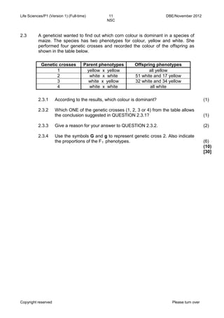 Life Sciences/P1 (Version 1) (Full-time) 11 DBE/November 2012 
NSC 
Copyright reserved Please turn over 
2.3 
A geneticist wanted to find out which corn colour is dominant in a species of maize. The species has two phenotypes for colour, yellow and white. She performed four genetic crosses and recorded the colour of the offspring as shown in the table below. 
Genetic crosses 
Parent phenotypes 
Offspring phenotypes 
1 
yellow x yellow 
all yellow 
2 
white x white 
51 white and 17 yellow 
3 
white x yellow 
32 white and 34 yellow 
4 
white x white 
all white 
2.3.1 
2.3.2 
2.3.3 
2.3.4 
According to the results, which colour is dominant? 
Which ONE of the genetic crosses (1, 2, 3 or 4) from the table allows the conclusion suggested in QUESTION 2.3.1? 
Give a reason for your answer to QUESTION 2.3.2. 
Use the symbols G and g to represent genetic cross 2. Also indicate the proportions of the F1 phenotypes. 
(1) 
(1) 
(2) 
(6) 
(10) 
[30]  