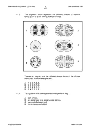 Life Sciences/P1 (Version 1) (Full-time) 5 DBE/November 2012 
NSC 
Copyright reserved Please turn over 
1.1.6 
The diagrams below represent six different phases of meiosis taking place in a cell with four chromosomes. 
The correct sequence of the different phases in which the above- mentioned division takes place is … 
A 
B 
C 
D 
1, 2, 3, 4, 5, 6. 
6, 2, 5, 4, 1, 3. 
3, 5, 4, 2, 6, 1. 
3, 4, 5, 6, 1, 2. 
1.1.7 
Two types of birds belong to the same species if they ... 
A 
B 
C 
D 
look similar. 
are separated by a geographical barrier. 
successfully interbreed. 
live in the same habitat. 
1 
2 
5 
3 
6 
4  