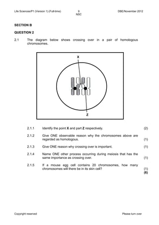 Life Sciences/P1 (Version 1) (Full-time) 9 DBE/November 2012 
NSC 
Copyright reserved Please turn over 
SECTION B 
QUESTION 2 
2.1 
The diagram below shows crossing over in a pair of homologous chromosomes. 
2.1.1 
Identify the point X and part Z respectively. 
(2) 
2.1.2 
2.1.3 
2.1.4 
2.1.5 
Give ONE observable reason why the chromosomes above are regarded as homologous. 
Give ONE reason why crossing over is important. 
Name ONE other process occurring during meiosis that has the same importance as crossing over. 
If a mouse egg cell contains 20 chromosomes, how many chromosomes will there be in its skin cell? 
(1) 
(1) 
(1) 
(1) 
(6) 
X 
Z  