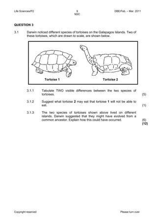 Life Sciences/P2 DBE/Feb. – Mar. 2011 
9 
NSC 
QUESTION 3 
3.1 Darwin noticed different species of tortoises on the Galapagos Islands. Two of 
these tortoises, which are drawn to scale, are shown below. 
3.1.1 
3.1.2 
3.1.3 
Tabulate TWO visible differences between the two species of 
tortoises. 
Suggest what tortoise 2 may eat that tortoise 1 will not be able to 
eat. 
The two species of tortoises shown above lived on different 
islands. Darwin suggested that they might have evolved from a 
common ancestor. Explain how this could have occurred. 
Copyright reserved Please turn over 
(5) 
(1) 
(6) 
(12) 
Tortoise 1 Tortoise 2 
 