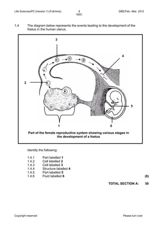 Life Sciences/P2 (Version 1) (Full-time) 8 DBE/Feb.–Mar. 2012 
NSC 
1.4 The diagram below represents the events leading to the development of the 
foetus in the human uterus. 
3 
Part of the female reproductive system showing various stages in 
the development of a foetus 
Identify the following: 
1.4.1 
1.4.2 
1.4.3 
1.4.4 
1.4.5 
1.4.6 
1 
4 
5 
6 
Part labelled 1 
Cell labelled 2 
Cell labelled 3 
Structure labelled 4 
Part labelled 5 
Fluid labelled 6 (6) 
TOTAL SECTION A: 50 
2 
Copyright reserved Please turn over 
 