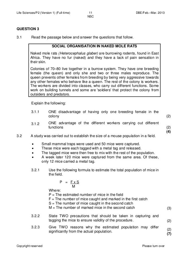 Grade 11 Exam Papers And Memos 2013 Pdf Qudd Maadveezz Site