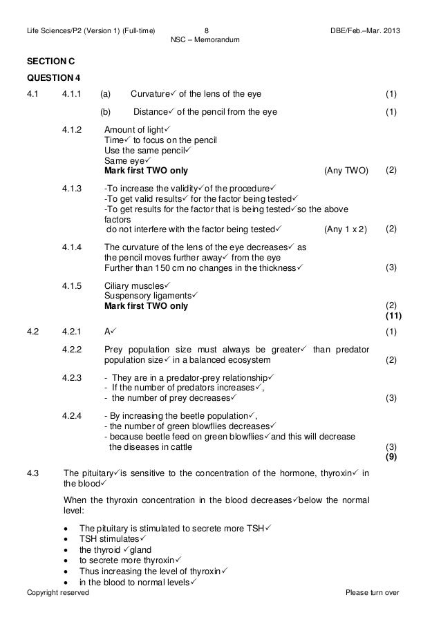 Best phd thesis in economics