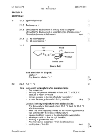 Life Sciences/P2 5 DBE/MAR 2014 
NSC – Memorandum 
Copyright reserved Please turn over 
SECTION B 
QUESTION 2 
2.1 
2.1.1 
Spermatogenesis 
(1) 
2.1.2 
Testosterone  
(1) 
2.1.3 
Stimulates the development of primary male sex organs 
Stimulates the development of secondary male characteristics 
Stimulates development of sperm Any 
(1) 
2.1.4 
2.1.5 
(a) 46 chromosome 
(b) 23 chromosome  
Mark allocation for diagram: 
Caption 
Any 4 correct labels 
(1) 
(1) 
(5) 
(10) 
2.2 
2.2.1 
1,6  °C 
(2) 
2.2.2 
Increase in temperature when exercise starts: 
- Due to exercise 
- the body temperature increased /from 36,8 °C to 38,2 °C 
- because of heat produced 
- from an increase in the rate of cellular respiration 
- to meet the energy demands during exercise Any 
Decrease in body temperature when exercise ends: 
- The temperature decreased/from 38,2 °C back to 36,8 °C after the exercise 
- when the heat-regulating centre in the brain/hypothalamus was stimulated by the increased temperature 
- causing the blood vessels of the skin to dilate/vasodilation 
- allowing more blood flow through the skin 
- resulting in greater heat loss 
- Also more sweat evaporates from the skin surface 
- cooling down the skin Any 
(3) 
(5) 
(10) 
Acrosome 
Nucleus 
Head 
Middle piece 
Sperm Cell 
Tail  