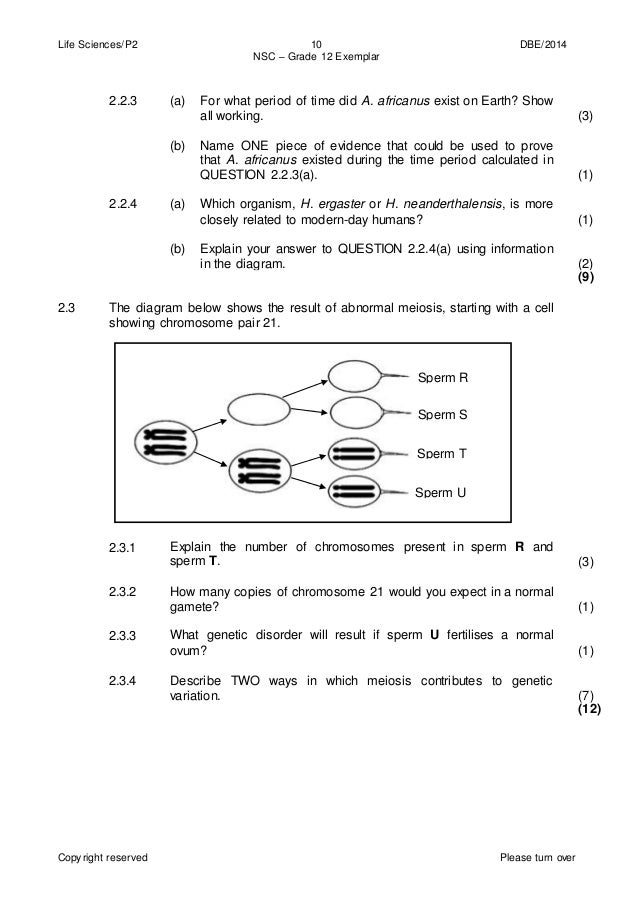 Life sciences p2 gr 12 exemplar 2014 eng