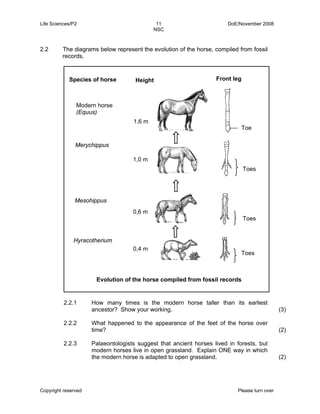 Life Sciences/P2 11 DoE/November 2008 
NSC 
2.2 The diagrams below represent the evolution of the horse, compiled from fossil 
records. 
Species of horse Front leg 
2.2.1 
2.2.2 
2.2.3 
Toe 
Toes 
How many times is the modern horse taller than its earliest 
ancestor? Show your working. 
What happened to the appearance of the feet of the horse over 
time? 
Palaeontologists suggest that ancient horses lived in forests, but 
modern horses live in open grassland. Explain ONE way in which 
the modern horse is adapted to open grassland. 
Copyright reserved Please turn over 
(3) 
(2) 
(2) 
1,6 m 
1,0 m 
0,6 m 
0,4 m 
Modern horse 
(Equus) 
Merychippus 
Mesohippus 
Hyracotherium 
Evolution of the horse compiled from fossil records 
Toes 
Toes 
Height 
 