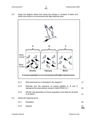 Life Sciences/P2 12 DoE/November 2008 
NSC 
2.3 Study the diagram below that shows the change in numbers of black and 
white mice living in an environment with light-coloured sand. 
White 
mouse 
Black 
mouse 
2.3.1 
2.3.2 
2.3.3 
What phenomenon is illustrated in the diagram? 
Describe how the sequence of events labelled A, B and C 
represents the phenomenon named in QUESTION 2.3.1. 
Will the next generation of mouse population more likely be all white 
or all black? 
Copyright reserved Please turn over 
(1) 
(5) 
(1) 
2.4 Define the following terms: 
2.4.1 
2.4.2 
Population 
Species 
(3) 
(3) 
[30] 
A B C 
January February March 
A mouse population in an environment with light-coloured sand 
 