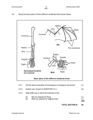 Life Sciences/P2 14 DoE/November 2008 
NSC 
3.4 Study the basic plans of three different vertebrate limbs shown below. 
Humerus 
Radius 
Ulna 
Carpals 
Digits 
3.4.1 
3.4.2 
3.4.3 
Ulna 
Are the above examples of homologous or analogous structures? 
Explain your answer to QUESTION 3.4.1. 
State ONE way in which the forelimbs of the: 
Copyright reserved Please turn over 
(1) 
(2) 
(a) 
(b) 
Bat are adapted for flying 
Mole are adapted for digging holes 
(1) 
(1) 
[30] 
TOTAL SECTION B: 60 
Generalised forelimb 
of a mammal Mole 
Bat 
Thin membrane 
Humerus 
Humerus 
Radius 
Radius 
Ulna 
Carpals 
Digits 
Digits 
Basic plans of the different vertebrate limbs 
Claws 
 