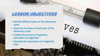 This Photo by Unknown Author is licensed under CC BY-SA
 