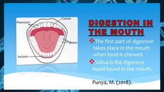 The first part of digestion
takes place in the mouth
when food is chewed.
Saliva is the digestive
liquid found in the mouth.
Punya, M. (2018).
 