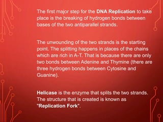 The first major step for the DNA Replication to take
place is the breaking of hydrogen bonds between
bases of the two antiparallel strands.
The unwounding of the two strands is the starting
point. The splitting happens in places of the chains
which are rich in A-T. That is because there are only
two bonds between Adenine and Thymine (there are
three hydrogen bonds between Cytosine and
Guanine).
Helicase is the enzyme that splits the two strands.
The structure that is created is known as
"Replication Fork".
 