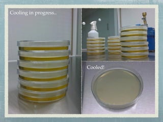 Cooling in progress..
Cooled!