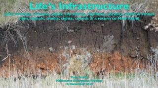 Life’s Infrastructure
soils, swamps, streams, sands, sea shores, shallows, seasons, sticks & stones
signs, signals, smells, sights, sounds & a return to Mud Island
Tony Smith
Melbourne Emergence Meetup
12 December 2019
 