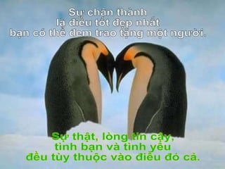 Sự chân thành  là điều tốt đẹp nhất bạn có thể đem trao tặng một người. Sự thật, lòng tin cậy,  tình bạn và tình yêu đều tùy thuộc vào điều đó cả. 