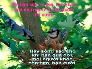 Khi bạn sinh ra đời, bạn khóc, còn mọi người xung quanh  thì cười. Hãy sống sao cho khi bạn qua đời, mọi người khóc, còn bạn, bạn cười. 