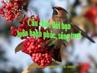 Cầu chúc đời bạn luôn hạnh phúc, sáng tươi Thực hiện: HPL, 23-9-2008 