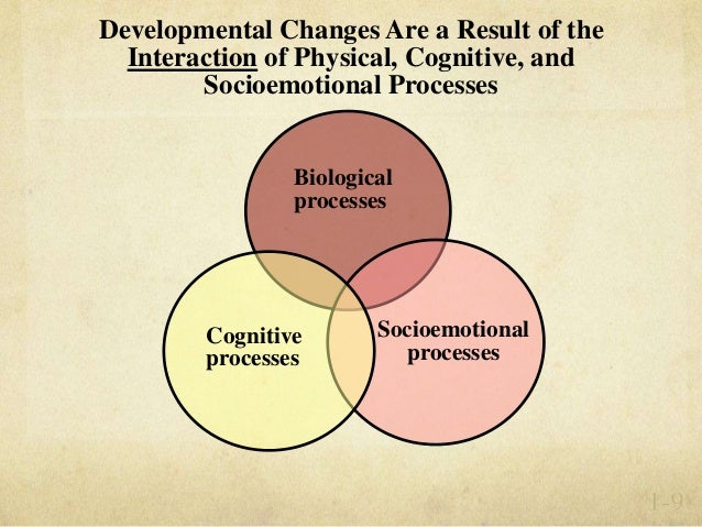 biological cognitive and socioemotional processes
