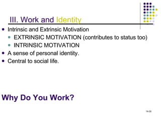 Why Do You Work?  Intrinsic and Extrinsic Motivation EXTRINSIC MOTIVATION (contributes to status too) INTRINSIC MOTIVATION A sense of personal identity. Central to social life. III. Work and  Identity 