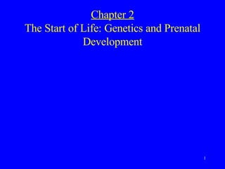 Chapter 2 The Start of Life: Genetics and Prenatal Development © 2006 Pearson Education/Prentice-Hall Publishing 