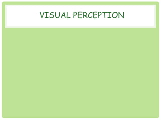 VISUAL PERCEPTION 
 