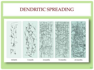 DENDRITIC SPREADING 
3-3 
 