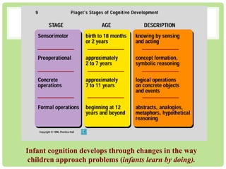 Infant cognition develops through changes in the way 
children approach problems (infants learn by doing). 
 