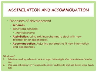 ASSIMILATION AND ACCOMMODATION 
• Processes of development 
• Schemes: 
• Behavioral scheme 
• Mental scheme 
• Assimilation: Using existing schemes to deal with new 
information or experiences 
• Accommodation: Adjusting schemes to fit new information 
and experiences 
Which one? 
1. Infant uses sucking schema to suck on larger bottle/nipple after presentation of smaller 
one. 
2. One-year-old grabs every “round, rolly object” and tries to grab and throw; sees a beach 
ball. 
 