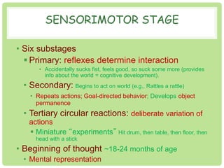 SENSORIMOTOR STAGE 
• Six substages 
 Primary: reflexes determine interaction 
• Accidentally sucks fist, feels good, so suck some more (provides 
info about the world = cognitive development). 
• Secondary: Begins to act on world (e.g., Rattles a rattle) 
• Repeats actions; Goal-directed behavior; Develops object 
permanence 
• Tertiary circular reactions: deliberate variation of 
actions 
 Miniature “experiments” Hit drum, then table, then floor, then 
head with a stick 
• Beginning of thought ~18-24 months of age 
• Mental representation 
 