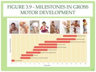 FIGURE 3.9 - MILESTONES IN GROSS 
MOTOR DEVELOPMENT 
3-43 
